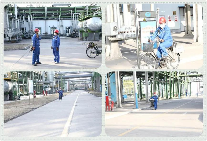 1586912104366877.jpeg 1586912104366877.jpeg