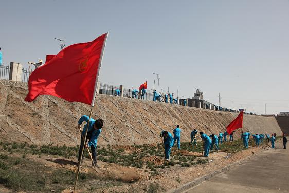 植樹活動(dòng)現(xiàn)場 植樹活動(dòng)現(xiàn)場